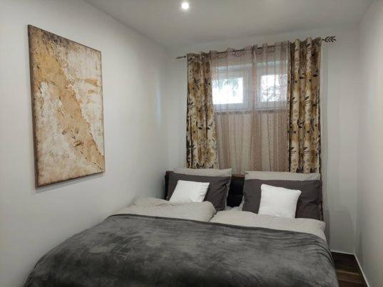 Dr Becsey Luxury Apartman Bekescsaba Kültér fotó
